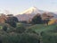 2 Te Ara Karoiroa, Hurford, New Plymouth - Carousel 5