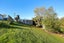 3 & 5 Couper Street, Warrington, Dunedin, Otago - Carousel 19