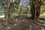 810 Waiterimu Road, Waiterimu, Ohinewai - Carousel 25