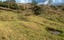 184 Koutu Loop Road, Whirinaki, Kaikohe - Carousel 25