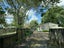 28A Casey Avenue, Fairfield, Hamilton - Carousel 1