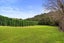 36 Robinson Road, Albany - Carousel 47