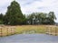 8 Dalefield Road, Carterton - Carousel 3