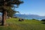 156C Esplanade, Kaikoura, Kaikōura - Carousel 2