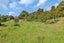 640 Tangihua Road, Whangarei - Carousel 28