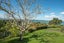 334 West Tamaki Road, Wai o Taiki Bay, Auckland - Carousel 7