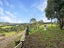 42 Ngapuhi Road, Waipapa, Kerikeri - Carousel 24