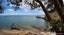 21 Moller Street, Beach Haven, Auckland - Carousel 12