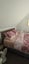 23B Hendry Avenue, Hillsborough, Auckland City, Auckland - Carousel 15