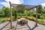 170 Ringawhati Road, Otaki - Carousel 7