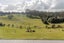 104A Koropewa Road, Waipapa, Kerikeri - Carousel 23