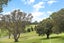4B/19 George Street, Newmarket, Auckland - Carousel 13