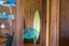 48 Aubrey Road, Pataua North, Parua Bay - Carousel 2