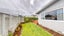 9A Saint Leonard Street, Saint Johns Hill, Whanganui - Carousel 16