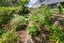 69A Cashmere Avenue, Khandallah, Wellington - Carousel 25