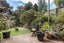 3 Halsey Drive, Lynfield, Auckland - Carousel 25