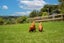 606 Blackbridge Road, Waitoki, Kaukapakapa - Carousel 9