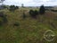 213 Pahi Road, Pahi, Paparoa - Carousel 23