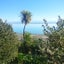 868 Atawhai Drive, Marybank, Nelson - Carousel 5