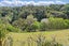 8 Admiralty Drive, Haruru - Carousel 4