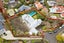 5 Maxfield Place, Epsom, Auckland - Carousel 31