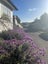 9A Kerema Way, Schnapper Rock, Auckland - Carousel 3