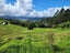 99 Mangamanihi Road, Kaeo - Carousel 17