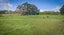 367 Pound Road, Yaldhurst, Christchurch - Carousel 42
