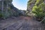14 LA TROBE TRACK, KareKare, Auckland - Carousel 13