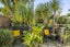 33 Brylee Drive, Conifer Grove, Takanini - Carousel 25