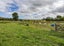 4 Baxters Road, Waipara, Amberley - Carousel 40