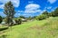 846 State Highway 14, Maungatapere, Whangarei - Carousel 13