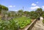 38 Norrie Avenue, Raglan, Raglan - Carousel 23