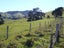 187 Okains Bay Road, Duvauchelle, Akaroa - Carousel 9