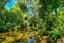 877 Tiki Quarry Road, Preece Point, Coromandel - Carousel 16