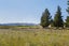 0 McPherson Road, Earnscleugh, Alexandra - Carousel 9