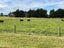 35 McKellar Road, Seaward Bush, Invercargill - Carousel 5