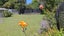 3 Tracey Terrace, Te Atatu South, Auckland - Carousel 28