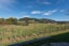 4 School Road, Ngongotaha, Rotorua - Carousel 18
