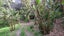 0 Whatuwhiwhi Road, Karikari Peninsula - Carousel 15