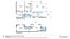 115 Amritsar Street, Khandallah, Wellington - Carousel 18