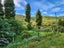 144 Ackworth Road, Lepperton, New Plymouth - Carousel 4