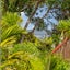 19 Jacaranda Avenue, Beach Haven, Auckland - Carousel 23