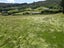 174 Tirohanga Road, North Taieri, Mosgiel - Carousel 5