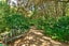 36 Hoeke Road, Carrington, Carterton - Carousel 35