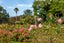 6C/8 Farnham Street, Parnell, Auckland - Carousel 16