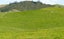 361 Martin Road, Waerenga - Carousel 7