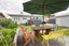 7 Grey Street, Marton - Carousel 25