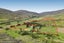 1940 Cardrona Valley Road, Wanaka - Carousel 1