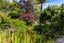 38 Channel View Road, Campbells Bay, Auckland - Carousel 22